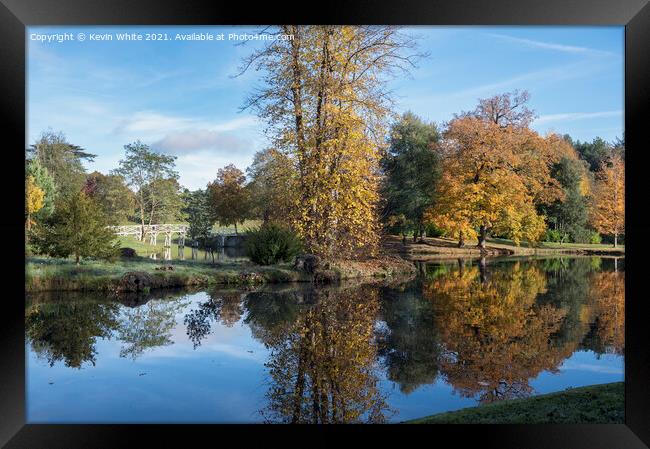 Painshill autumn walk Framed Print by Kevin White