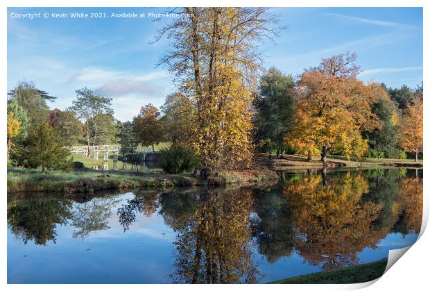 Painshill autumn walk Print by Kevin White