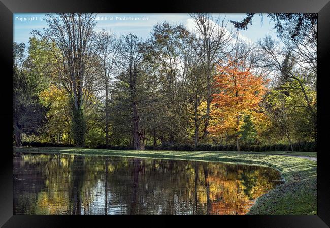 Autumn colours beside lake Framed Print by Kevin White