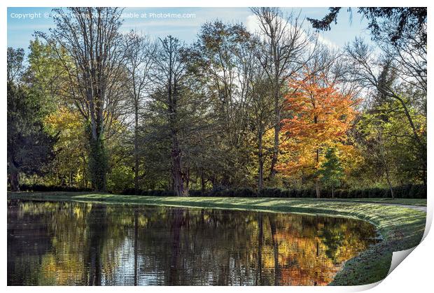 Autumn colours beside lake Print by Kevin White