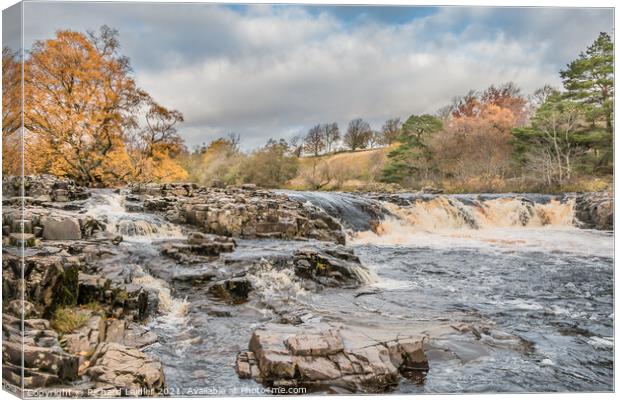 Autumn Brightness at Low Force Waterfall, Teesdale (2) Canvas Print by Richard Laidler