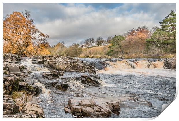 Autumn Brightness at Low Force Waterfall, Teesdale (2) Print by Richard Laidler
