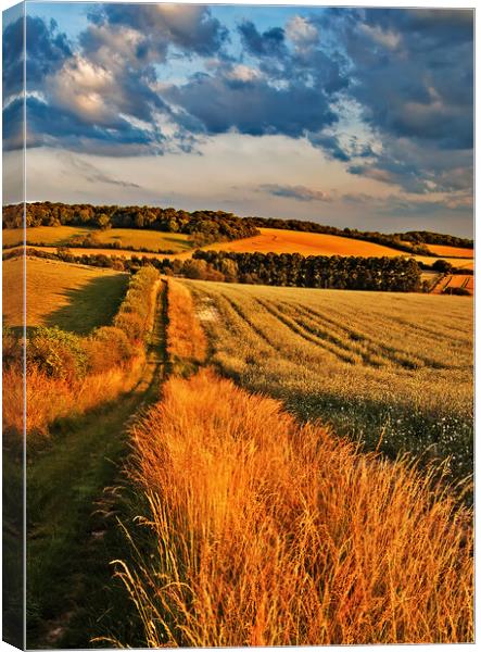 Path down to Ipsden in Oxfordshire Canvas Print by Joyce Storey