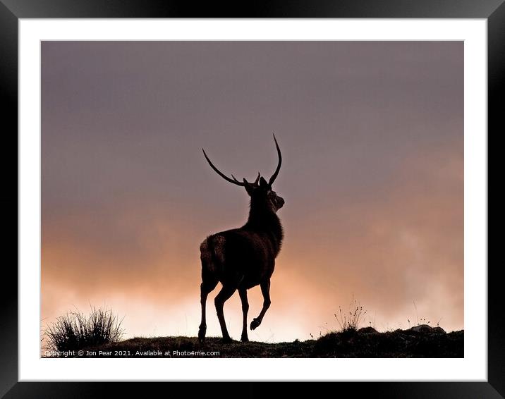 Red Stag at Sunset Framed Mounted Print by Jon Pear