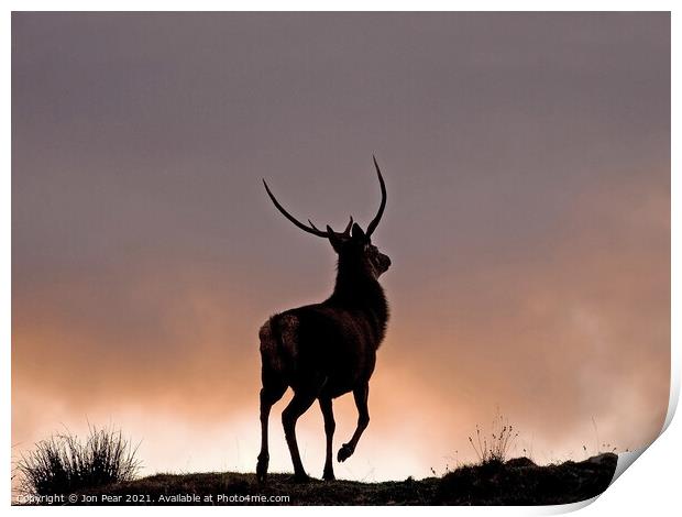 Red Stag at Sunset Print by Jon Pear
