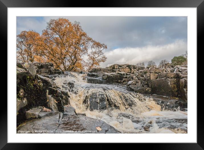 Autumn Brightness at Low Force Waterfall (3) Framed Mounted Print by Richard Laidler