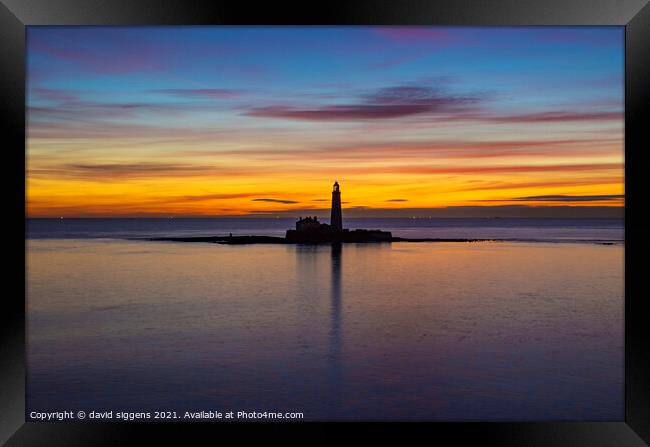 St Marys lighthouse Sunrise Framed Print by david siggens