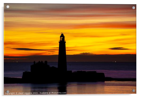 St Marys lighthouse Sunrise Acrylic by david siggens