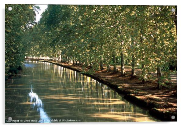 Canal du Midi, Capestang Acrylic by Chris Rose