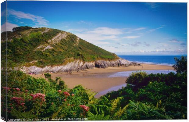 Caswell Bay beach Canvas Print by Chris Rose