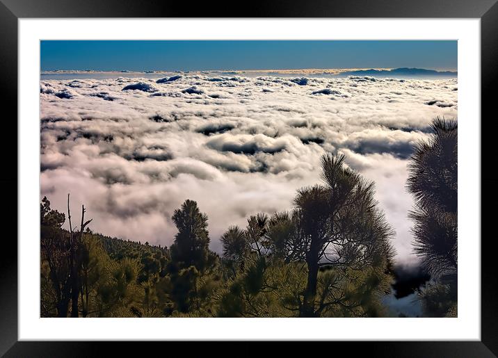 Trees above the Clouds Framed Mounted Print by Geoff Storey