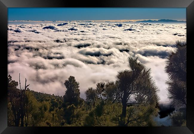 Trees above the Clouds Framed Print by Geoff Storey