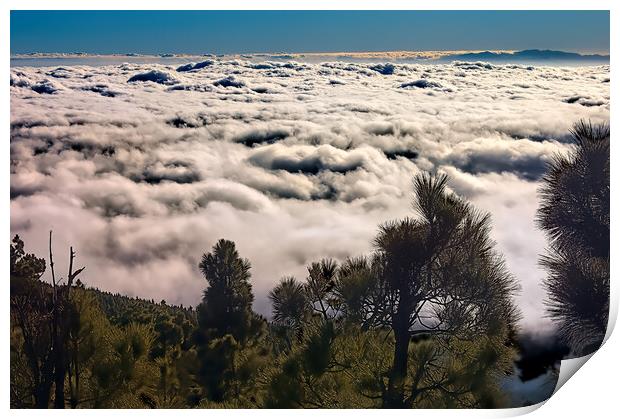 Trees above the Clouds Print by Geoff Storey