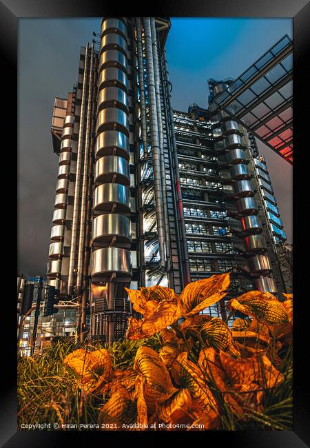 Lloyds Buildings at Night, City of London Framed Print by Hiran Perera