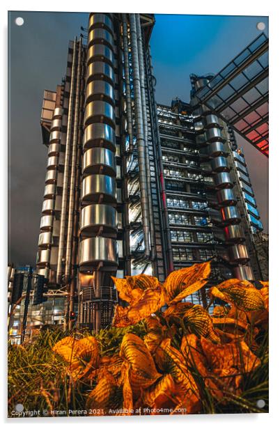 Lloyds Buildings at Night, City of London Acrylic by Hiran Perera