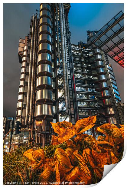 Lloyds Buildings at Night, City of London Print by Hiran Perera