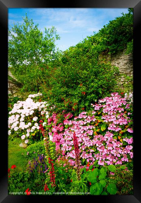 A beautiful summer walled garden border flowerbed Framed Print by Chris Rose