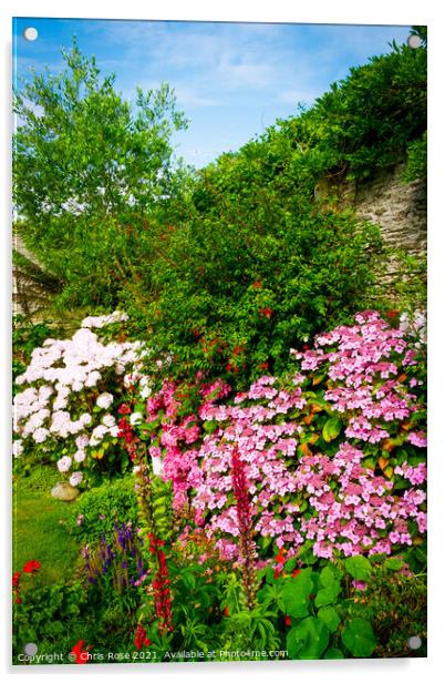 A beautiful summer walled garden border flowerbed Acrylic by Chris Rose