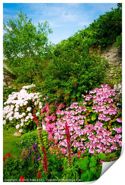 A beautiful summer walled garden border flowerbed Print by Chris Rose