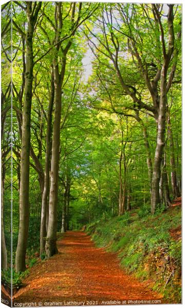 Cotswolds Forest Bridleway Canvas Print by Graham Lathbury