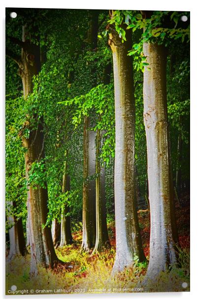 Cotswolds Trees Acrylic by Graham Lathbury