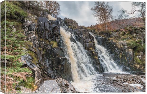 Autumn Brightness at Blea Beck Force, Teesdale Canvas Print by Richard Laidler