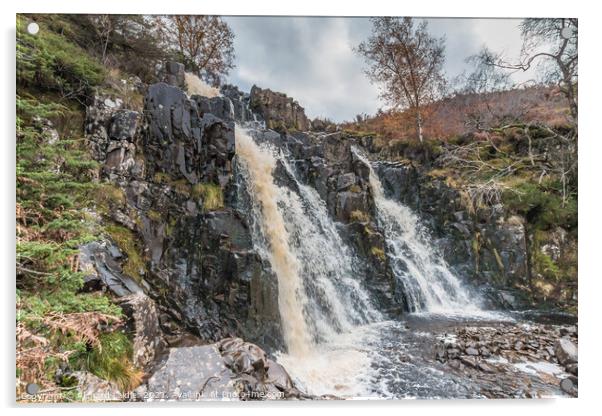 Autumn Brightness at Blea Beck Force, Teesdale Acrylic by Richard Laidler