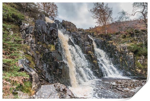 Autumn Brightness at Blea Beck Force, Teesdale Print by Richard Laidler