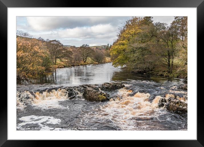 Autumn Brightness on the River Tees near Holwick Framed Mounted Print by Richard Laidler
