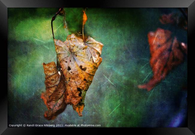 Vanishing Glory Framed Print by Randi Grace Nilsberg