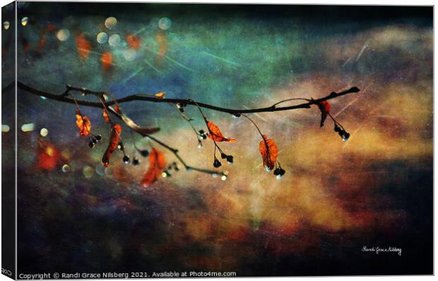 Autumn Twinkle Canvas Print by Randi Grace Nilsberg
