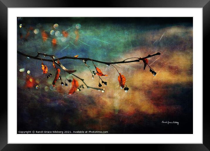 Autumn Twinkle Framed Mounted Print by Randi Grace Nilsberg
