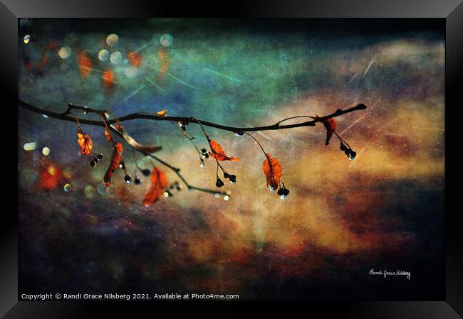 Autumn Twinkle Framed Print by Randi Grace Nilsberg