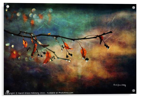 Autumn Twinkle Acrylic by Randi Grace Nilsberg