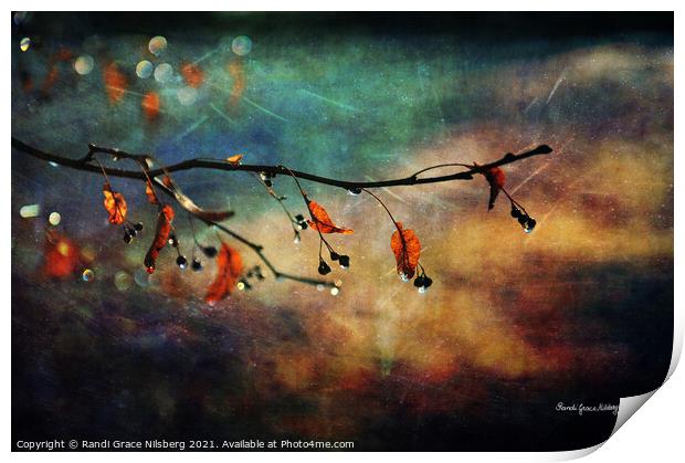 Autumn Twinkle Print by Randi Grace Nilsberg