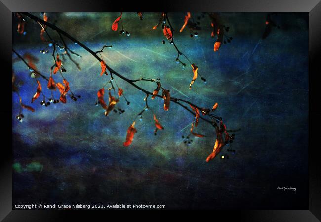 Autumn Vibes Framed Print by Randi Grace Nilsberg