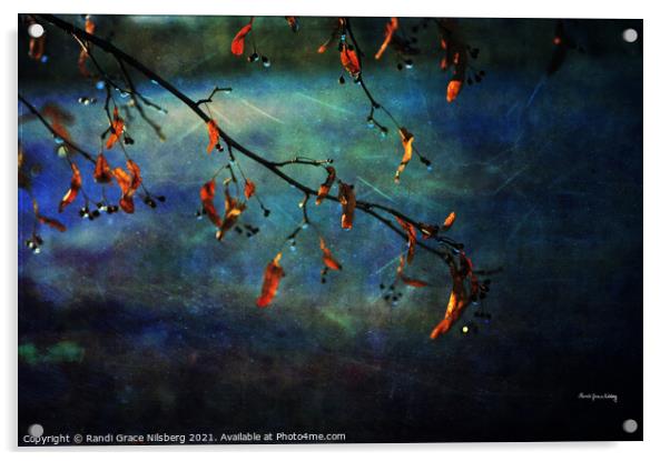 Autumn Vibes Acrylic by Randi Grace Nilsberg