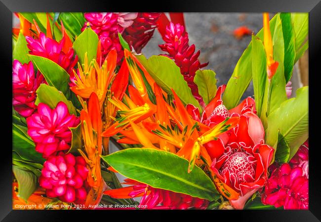 Christmas Flower Arrangement Torch Red Ginger Moorea Tahiti Framed Print by William Perry
