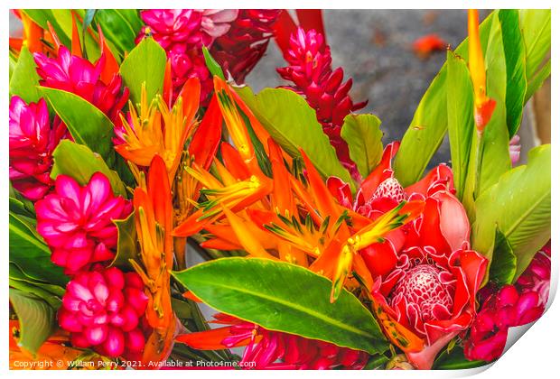 Christmas Flower Arrangement Torch Red Ginger Moorea Tahiti Print by William Perry