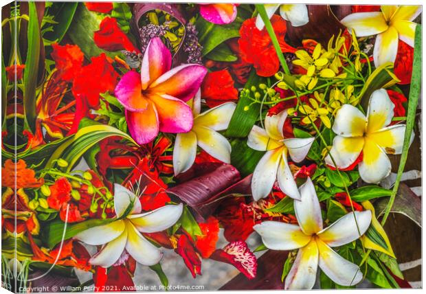 Pink Yellow Red Tropical Flowers  Chistmas Arrangement Plumeria  Canvas Print by William Perry