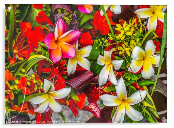 Pink Yellow Red Tropical Flowers  Chistmas Arrangement Plumeria  Acrylic by William Perry
