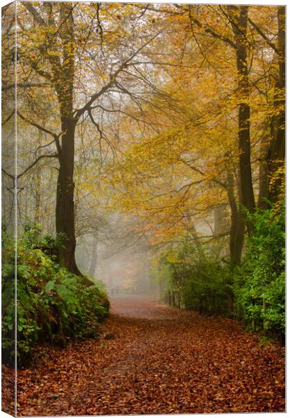 Enchanting Autumn Pathway Canvas Print by Alan Tunnicliffe