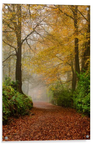 Enchanting Autumn Pathway Acrylic by Alan Tunnicliffe