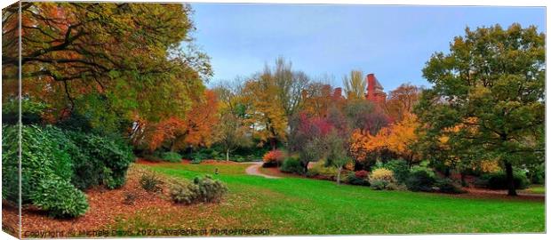 Miller Park Preston, Autumn Canvas Print by Michele Davis