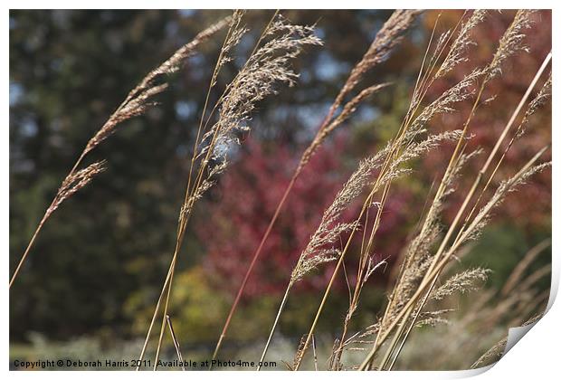 Whispering in the Wind Print by Deborah Harris