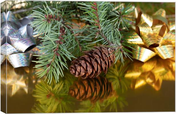 Close up view of a pinecone with fir branches  Canvas Print by Thomas Baker