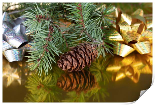 Close up view of a pinecone with fir branches  Print by Thomas Baker