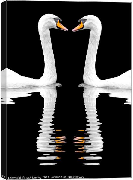 Swan Reflection Canvas Print by Rick Lindley