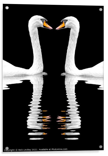 Swan Reflection Acrylic by Rick Lindley