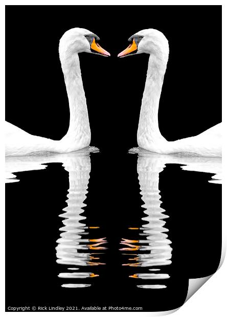 Swan Reflection Print by Rick Lindley